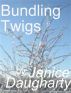 Bundling Twigs by Janice Daugharty