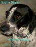 Sasha Says... Please be careful of the road by Valerie Skinner