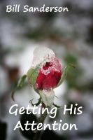 Cover for 'Getting His Attention'