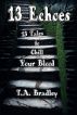 13 Echoes by T. A. Bradley