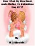 How I Met My Real Soul-mate Online On Valentines Day 2011 by M G Sinclair