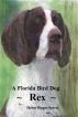 A Florida Bird Dog ~ REX by Helen  Digges Spivey