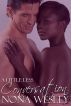 A Little Less Conversation by Nona Wesley