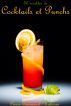 50 Recettes de Cocktails et Punchs by Pierre-Emmanuel Malissin