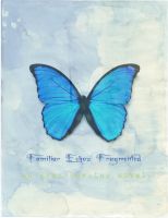Cover for 'familiar Echo's  ~fragmented~'