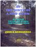 In the Birth of a New Dawn by John R. Hernandez, Jr.