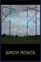 Cover for 'A Celebration of Failure'