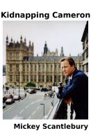 Cover for 'Kidnapping Cameron'