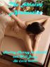 The Shiatsu Alternative, Healing Therapy for Health and Well-Being by Sam Dutton