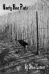 Ninety Nine Posts by Stan Lerner