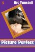 Picture Perfect by Kit Tunstall