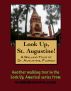 A Walking Tour of St. Augustine, Florida by Doug Gelbert