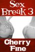 Sex Break III by Cherry Fine