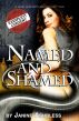 Named and Shamed by Janine Ashbless
