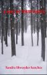 A Mile in These Shoes by Sandra Shwayder Sanchez
