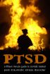 PTSD: A Fifteen Minute Guide to Combat Related Post-Traumatic Stress Disorder by Brannan Vines