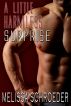 A Little Harmless Surprise by Melissa Schroeder
