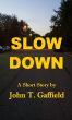 Slow Down by John Gaffield
