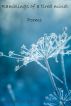 Ramblings of a tired mind:  Poems by Annalise Grey