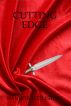 Cutting Edge by Nanette Littlestone