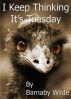 I Keep Thinking It's Tuesday by Barnaby Wilde