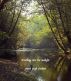 Breathing Into The Sunlight by Sarah Leigh Graham