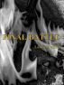 Final Battle by Laura Walkup