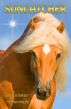 Sun Catcher by Angela Dorsey