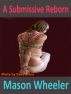 A Submissive Reborn by Mason Wheeler