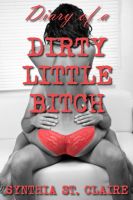 Cover for 'Diary of a Dirty Little Bitch'