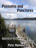 Possums and Punctures (Improper Cycling In New Zealand) by Pete Hepworth