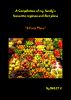 A compilation of my family's favourite regimes and diet plans (8 fruit plans) by Sally J.