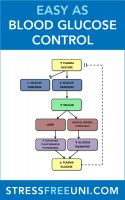 Cover for 'Easy As Blood Glucose Control'