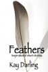 Feathers by Kay Darling