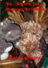 Po- Po and The Magical Reindeer by Jeanne  Warnes