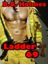 Ladder 69 by D.G. Holmes