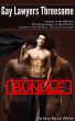 Gay Lawyers Bundle by Zachery White