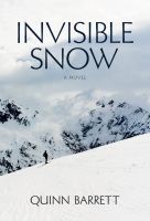 Cover for 'Invisible Snow'