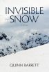 Invisible Snow by Quinn Barrett