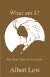 What am I?  The Heart Sutra for Everyone by Albert Low