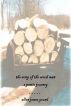 The Song of the Wood Man - A Poetic Journey by Allan James Grund