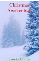 Cover for 'Christmas Awakenings'