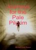 Journeys for the Pale Pilgrim by Michael Owen Reeve