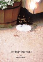 Cover for 'The Baby Raccoons'