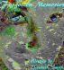 Forgotten memories (Book 1 of the Nevelair Chronicles) by Elizabeth Smith