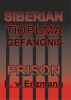 Siberian Prison by Ernst v Enzmann