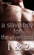 A Slave Boy For the Elven Lord 1 & 2 by Lilith Kinke