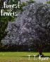 Forest of Fenris by T.T. Kove