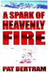 A Spark of Heavenly Fire by Pat Bertram