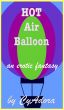Hot Air Balloon, an erotic fantasy by CyAdora 
